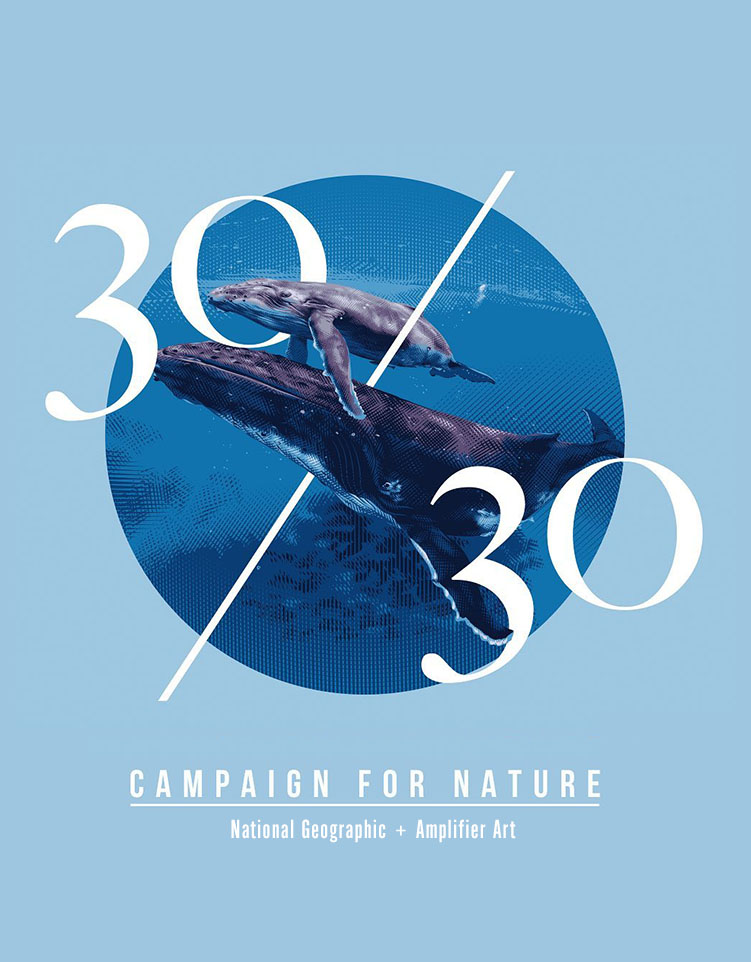 Campaign for Nature