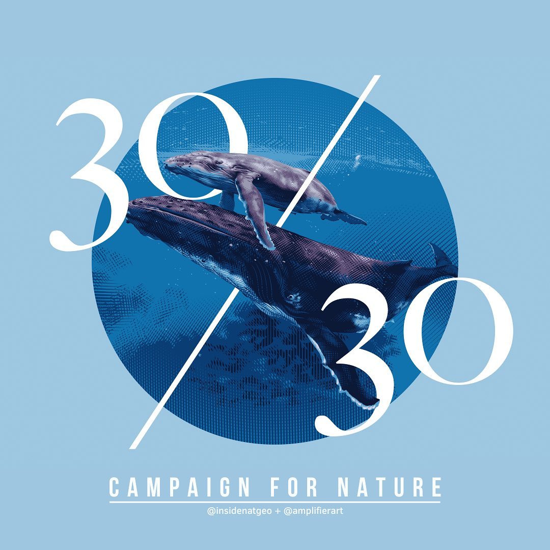 Campaign for Nature